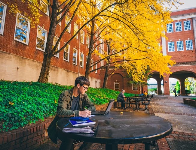 Student studying outdoors on ETSU's campus in autumn